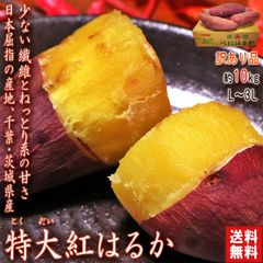 紅はるか 特大さつまいも 約10kg L〜3Lサイズ 千葉県・茨城県産 お得用 家庭用限定 産地箱入り しっとり系の濃厚な甘さの紅はるか！