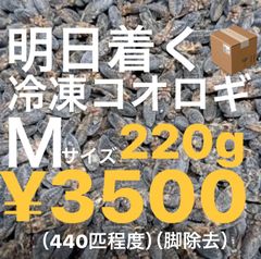 Item thumbnail for item 0b118340-a347-460a-8f0f-179fe5931f4d