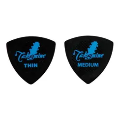 2025年最新】ギター タカミネ tの人気アイテム - メルカリ