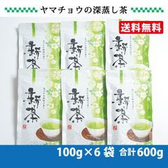 茶師のこだわりブレンド 静岡茶100g×6本 深蒸し茶 日本茶 訳あり