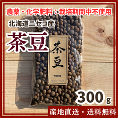 【農薬・化学肥料：栽培期間中不使用】茶豆 300g 北海道　ニセコ
