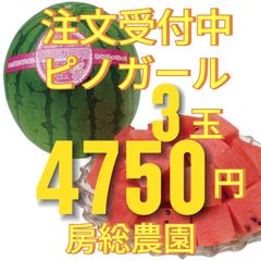 ②４７５０円・３玉・注文受付中・第３弾・ピノガール「小玉スイカランキング第１位」