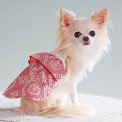 犬と生活　クールストライプワンピース