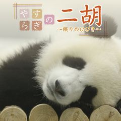 パンダ自身 3きょうだい フェイスタオル シャンシャン シャオシャオ