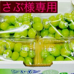 予約販売 ７月下旬以降【選果落ち 訳あり商品】 国産 九州産 ぶどう シャインマスカット 4パック 約1200g×4セット【003】粒不揃い クール冷蔵 規格外 家庭用 贈答不可 加工用  果物  熊本 福岡 葡萄 ブドウ
