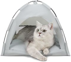 Item thumbnail for item 33c8be39-8955-42db-88ad-6652cb7d0c6a