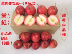 ☆超希少品種☆果肉まで赤～いりんご『栄紅』超かわいいサイズちょっとB品18個