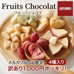 【訳あり 送料無料】 フルーツショコラ ４種類セット 4袋入り