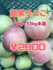 山形県天童産♡サンふじ♡摘果りんご
