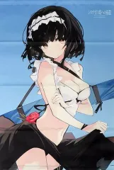 【中古】タペストリー アビゲイル・エリスン B2タペストリー 「Switchソフト シロナガス島への帰還」 とらのあな購入特典
