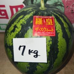 北海道沖縄離島追加送料無し　熊本県産すいか　羅皇ザスウィート１玉現品販売