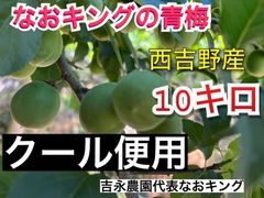 クール便 青梅 10キロ  西吉野産 6月上旬発送 なおキング