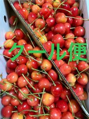 さくらんぼ（紅てまり）Lサイズ 箱込1キロ程度 山形県産