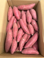 幻のメロン ナイルメロン 2L 5玉 千葉県産 送料込み - メルカリ