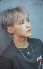 SEVENTEEN HMV HOSHI 舞い落ちる花びら Blue