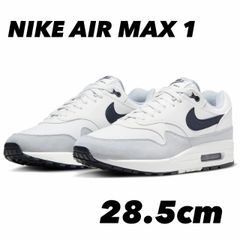 NIKE AIR MAX 1 ナイキ エア マックス 1 プラチナムティント/ウルフグレー/ダークオブシディアン FD9082-002 28.5cm