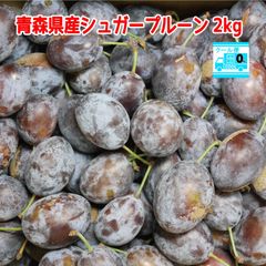 青森県産　生　プルーン　訳あり　２ｋｇ　クール　冷蔵便無料！