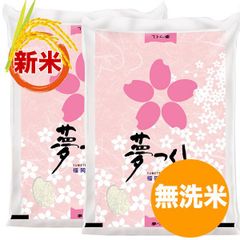 【新米】夢つくし 無洗米 10kg 福岡県産 令和6年産