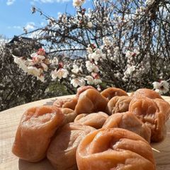 紀州南高梅 3kg 完熟梅 訳あり クール便 和歌山産 - メルカリ