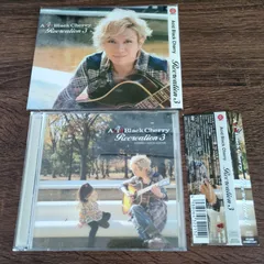 【新品未開封】Acid Black Cherry プリクラ タイプA ピンク 2025年最新】acid black cherry cd 新品未開封の人気アイテム