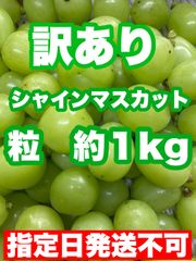 🍇【訳あり】山形県産シャインマスカット　【粒　約１kg】🍇