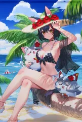 タペストリー　C.大神ミオ B2サマータペストリー 「バーチャルYouTuber」 C96グッズ 駿河屋 -<中古>大神ミオ 泉彩先生描き下ろしB2タペストリー