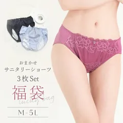 M L LL 3L 4L 5Lサニタリーショーツ レディース サニタリー 3枚組 セット2026【メール便送料無料】【福袋 パンツ 下着 3枚セット 生理用パンツ 大きいサイズ】[★メール便OK]