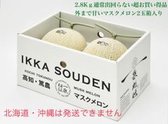 2.8Kｇ通常出回らない超お買い得品！外まで甘いマスクメロン2玉箱入り