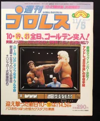 リックフレア　プロレスカード　メンコ　コスモス　美品 リックフレア プロレスカード メンコ コスモス 美品 2025年最新
