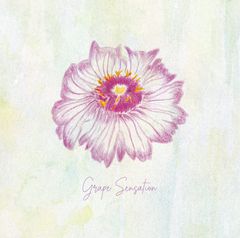 グレープセンセーション [CD] 