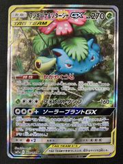 フシギバナ＆ツタージャGX SR SM11a リミックスバウト 066/064 - メルカリ