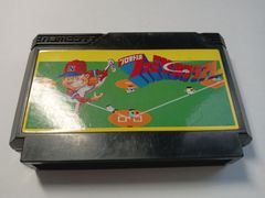 プロ野球ファミリースタジアム