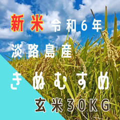 新米 令和6年産 きぬむすめ　玄米30キロ 淡路島産 産地直送