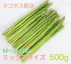 【朝採れアスパラガス】ミックスサイズ500g 産地直送［ネコポス配送］