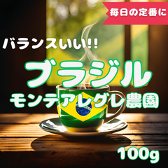 10杯分 ブラジルモンテアレグレ農園 自家焙煎コーヒー豆(バランス系)