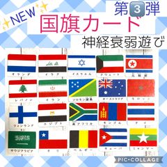 国旗カード　第3弾　神経衰弱　絵合わせ　モンテッソーリ