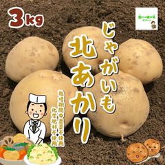 ☆農薬や化学肥料は使っておりません　じゃがいも北あかり（キタアカリ）　埼玉県産　約３ｋｇ（サイズ混合）