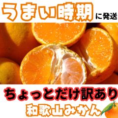 【11/21-26発送】ちょっと訳ありみかん　10kg 和歌山県産　早生