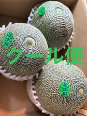 タカミメロン 4Lサイズ 3個入 箱込5キロ程度 茨城県産