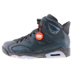 NIKE AIR JORDAN 6 エアジョーダン6 カメレオン　オールスター JORDAN 6 