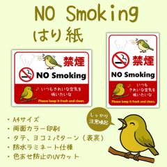 禁煙／No Smoking 張り紙　A4サイズ・UVカット防水ラミネート
