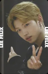 Stray Kids FELIX MIXTAPE ビハインドフォト