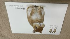 うさぎのしっぽ　2025年壁掛けカレンダー　未使用