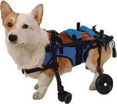 犬用車椅子 4輪 犬用歩行器 犬用 車いす ペット/猫/犬カート サイズ調整可能 愛犬の 車いす 犬補助歩行器 老犬介護 リハビリ 障害ペット 前足用 麻痺した後足のための犬補助歩行器 M  646165ee-4900-= 