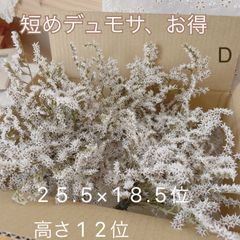 専用ページ
