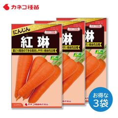 ニンジン 種 ３袋セット 栽培しやすい 晩抽性品種 耐病性に優れる 紅琳 野菜の種 カネコ種苗