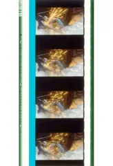 【中古】コマフィルム ガンキャノン(火花/機動戦士ガンダム THE ORIGIN) 週替わり歴代ガンダム劇場フィルム 「劇場版 機動戦士ガンダム 閃光のハサウェイ」 3週目入場者特典