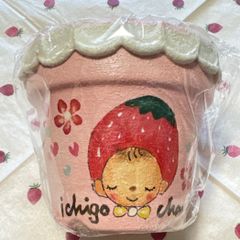 古都の葉さん苗❣️小桃いろは❣️札付き❗️多肉植物 ポット