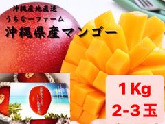 期間限定価格】沖縄産地直送クール便込！【完熟マンゴー】2Kg(4~6玉