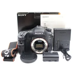 2025年最新】sony α77iiの人気アイテム - メルカリ